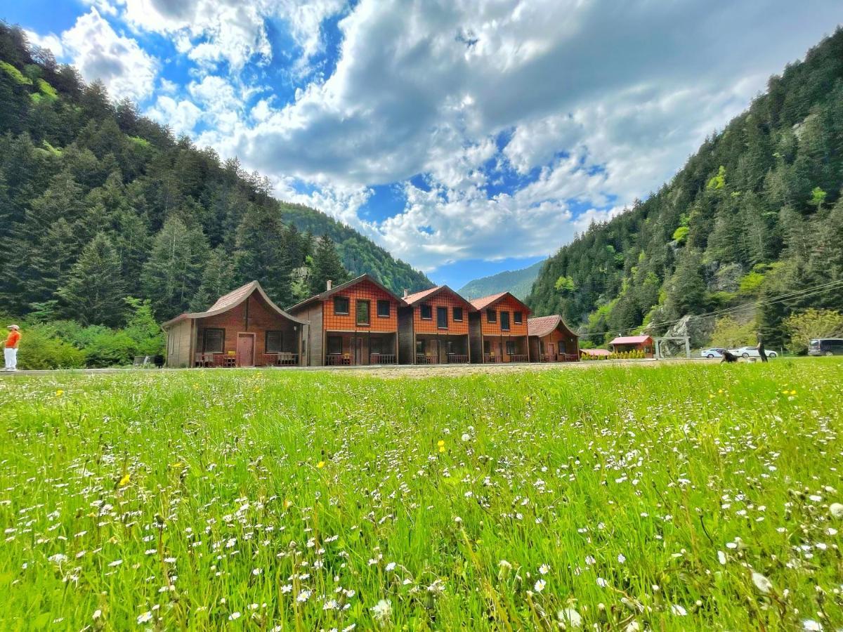Raha Villa Bungalow Uzungöl Exterior foto